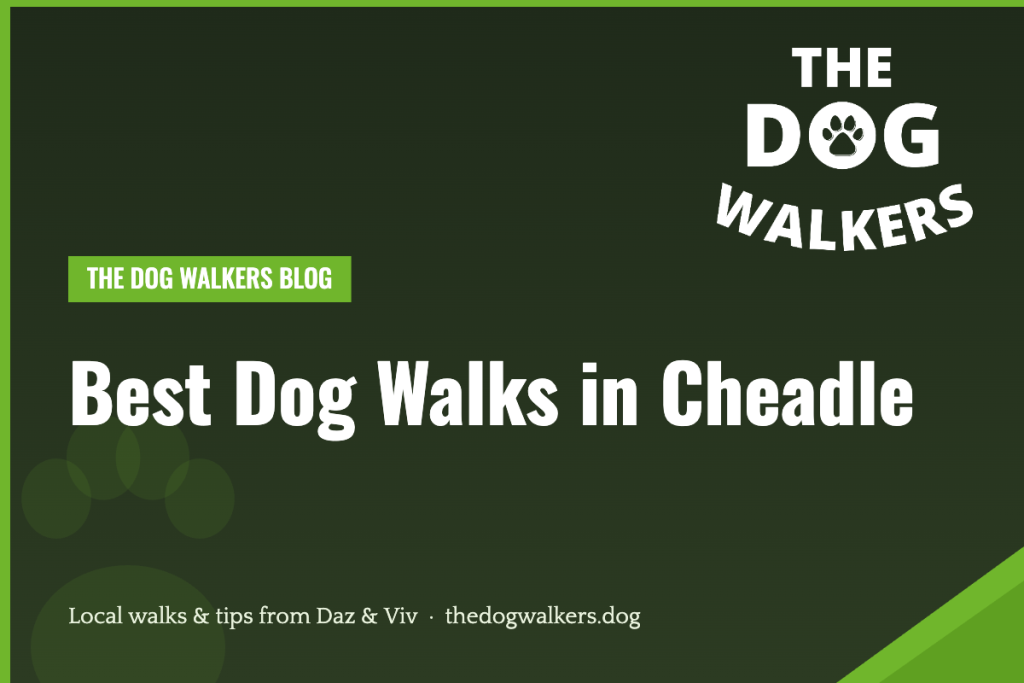 Best Dog Walks in Cheadle — The Dog Walkers, South Manchester