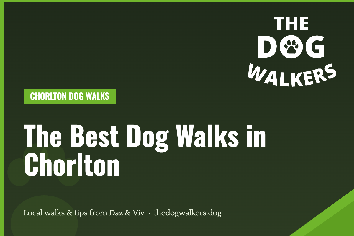 The Best Dog Walks in Chorlton — The Dog Walkers, South Manchester