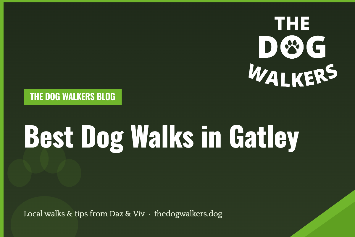 Best Dog Walks in Gatley — The Dog Walkers, South Manchester