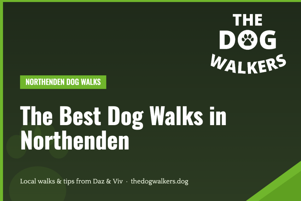 The Best Dog Walks in Northenden — The Dog Walkers, South Manchester