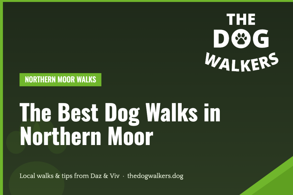 The Best Dog Walks in Northern Moor — The Dog Walkers, South Manchester