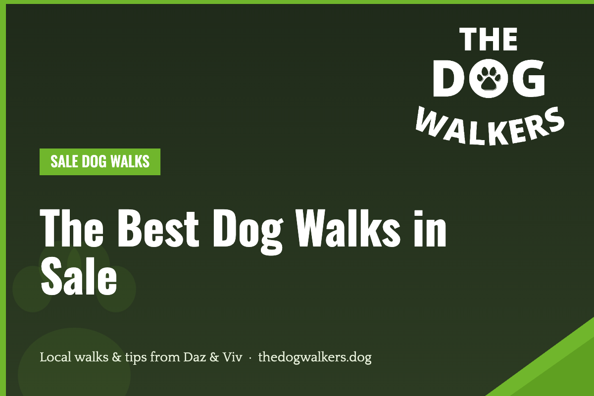 The Best Dog Walks in Sale — The Dog Walkers, South Manchester