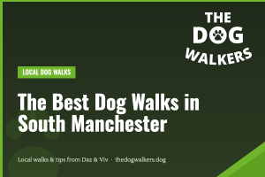 The Best Dog Walks in South Manchester — The Dog Walkers, South Manchester