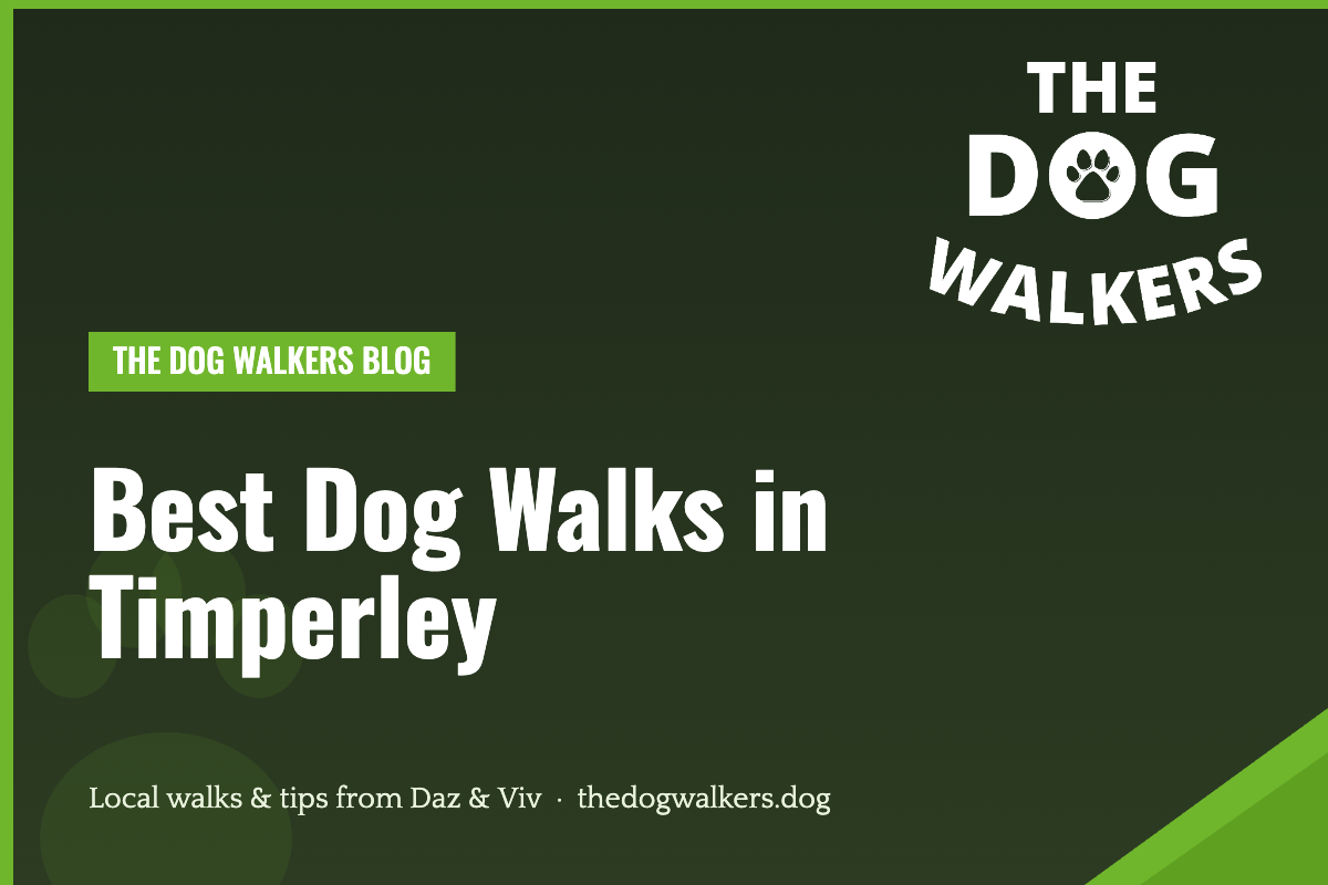 Best Dog Walks in Timperley — The Dog Walkers, South Manchester