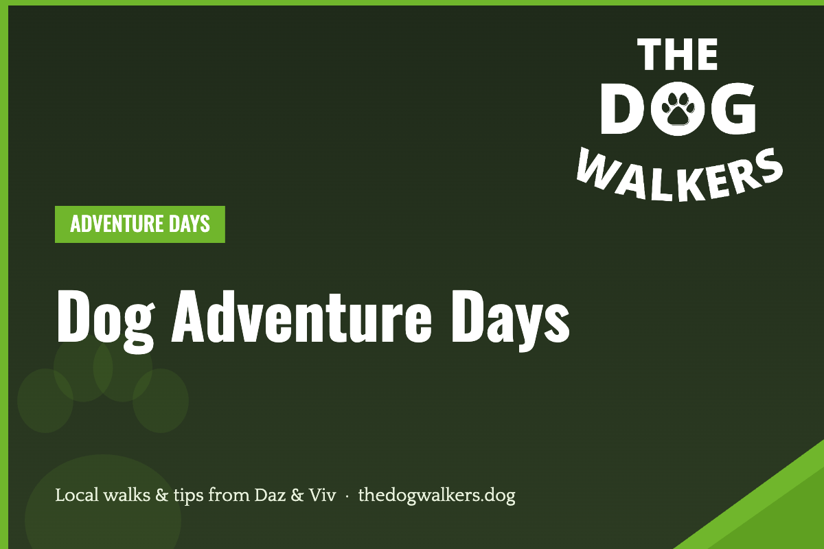 Dog Adventure Days — The Dog Walkers, South Manchester