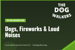 Dogs, Fireworks & Loud Noises — The Dog Walkers, South Manchester