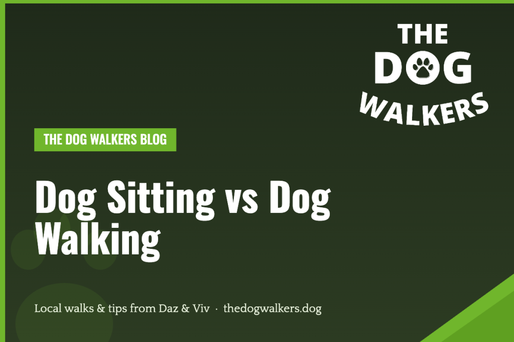 Dog Sitting vs Dog Walking — The Dog Walkers, South Manchester