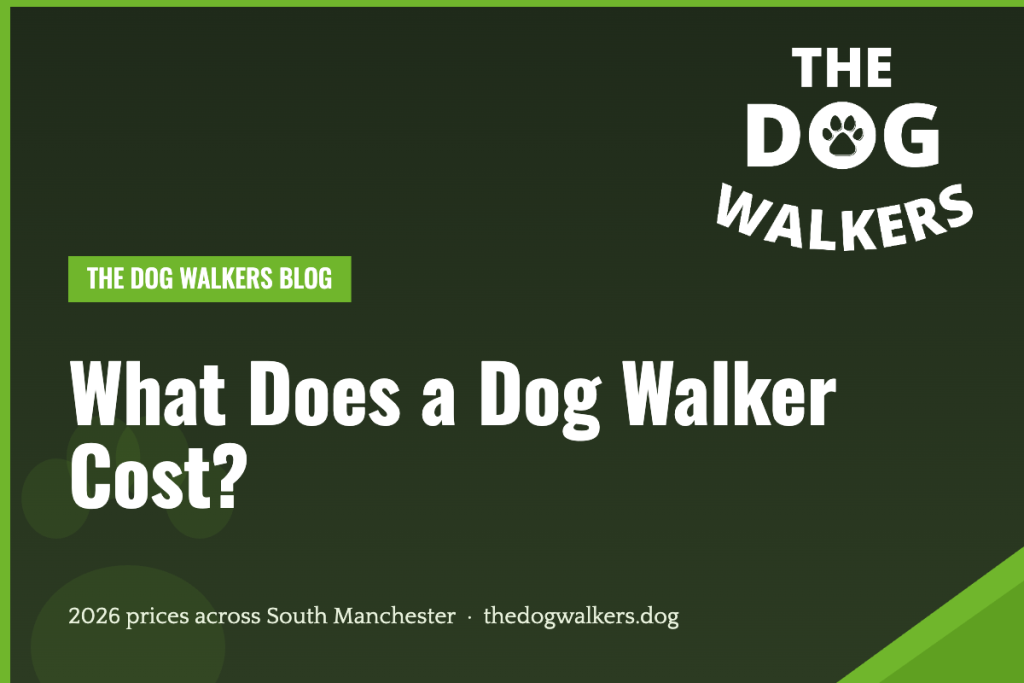 What does a dog walker cost in South Manchester — The Dog Walkers 2026 price guide