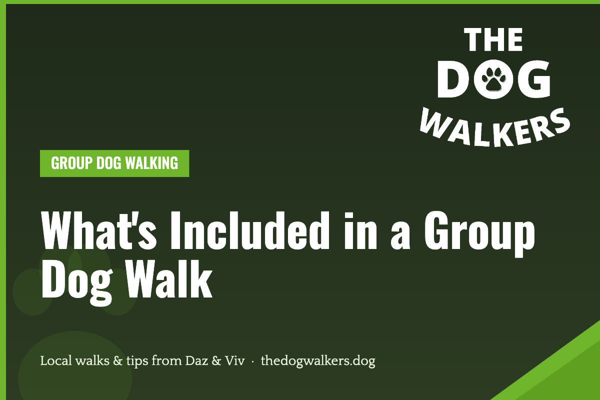 What's Included in a Group Dog Walk — The Dog Walkers, South Manchester