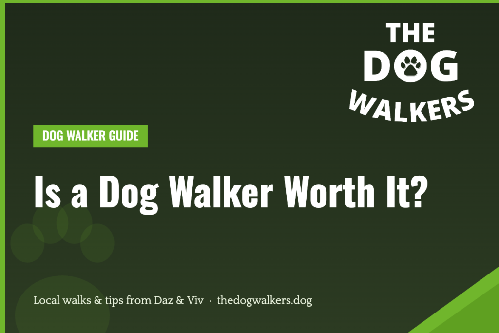Is a Dog Walker Worth It? — The Dog Walkers, South Manchester