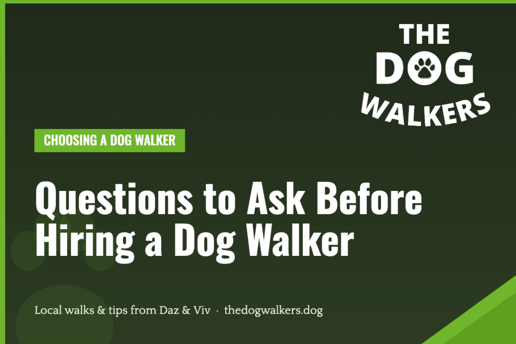 Questions to Ask Before Hiring a Dog Walker — The Dog Walkers, South Manchester
