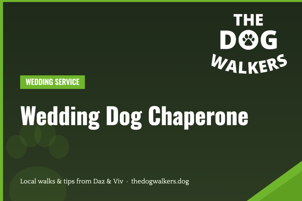 Wedding Dog Chaperone — The Dog Walkers, South Manchester