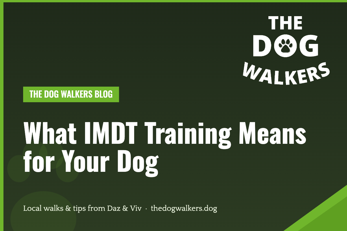 What IMDT Training Means for Your Dog — The Dog Walkers, South Manchester