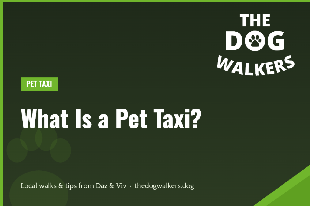 What Is a Pet Taxi? — The Dog Walkers, South Manchester