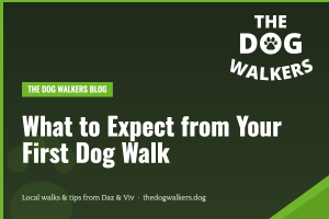 What to Expect from Your First Dog Walk — The Dog Walkers, South Manchester