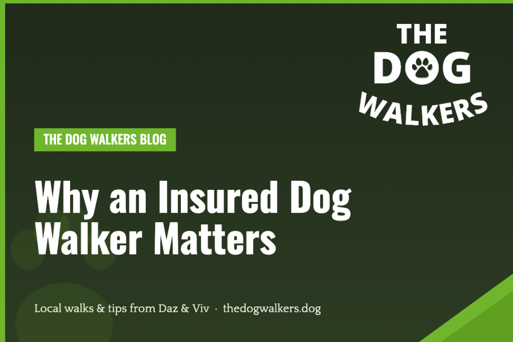 Why an Insured Dog Walker Matters — The Dog Walkers, South Manchester