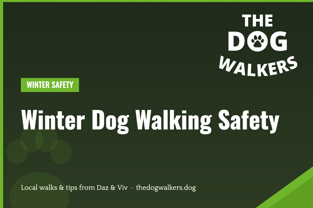 Winter Dog Walking Safety — The Dog Walkers, South Manchester
